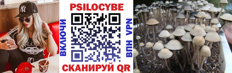 закладка  Кирсанов  Галлюциногенные грибы мухоморы 